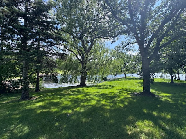 2814 Lakeview Dr, Fergus Falls, MN 56537 - view of green lawn with a water view