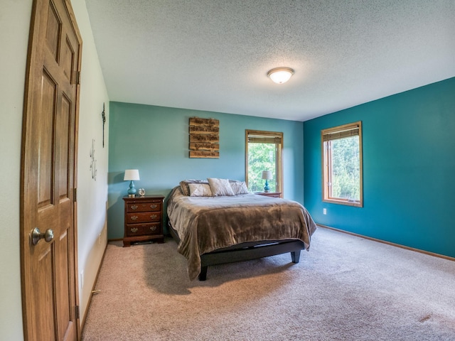 22152 Polaris Rd NW, Puposky, MN 56667 - carpeted bedroom featuring a textured ceiling and baseboards