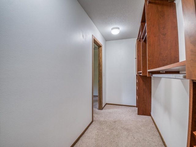 22152 Polaris Rd NW, Puposky, MN 56667 - hall with light colored carpet and a textured ceiling
