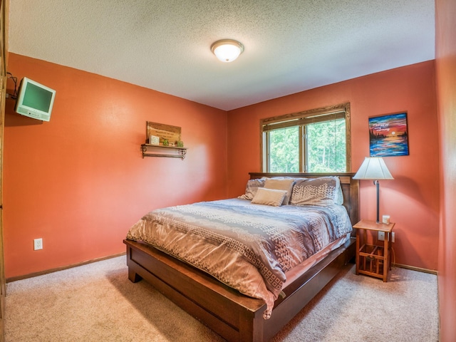22152 Polaris Rd NW, Puposky, MN 56667 - bedroom with carpet floors and a textured ceiling
