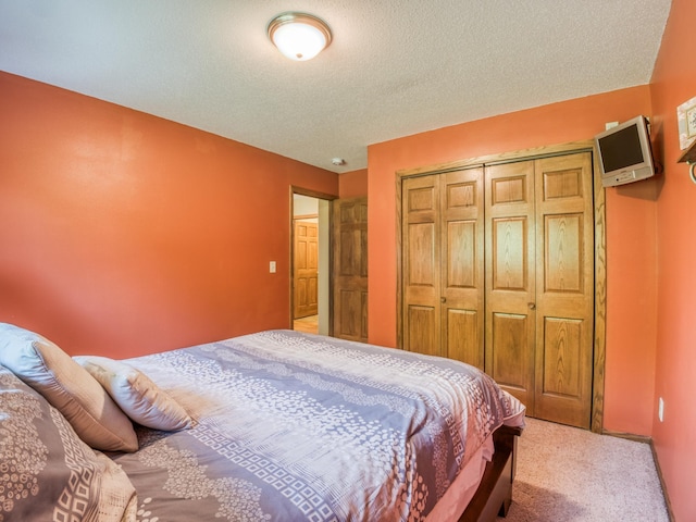 22152 Polaris Rd NW, Puposky, MN 56667 - bedroom with carpet flooring, a closet, and a textured ceiling