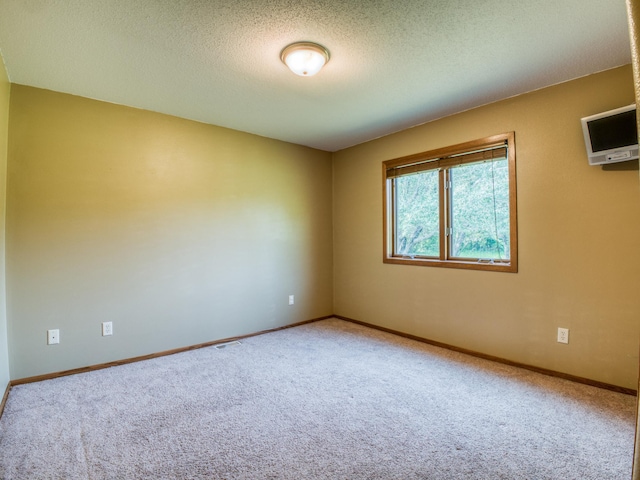 22152 Polaris Rd NW, Puposky, MN 56667 - empty room featuring carpet floors and a textured ceiling