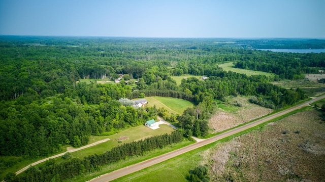22152 Polaris Rd NW, Puposky, MN 56667 - aerial view of a heavily wooded area and a large body of water
