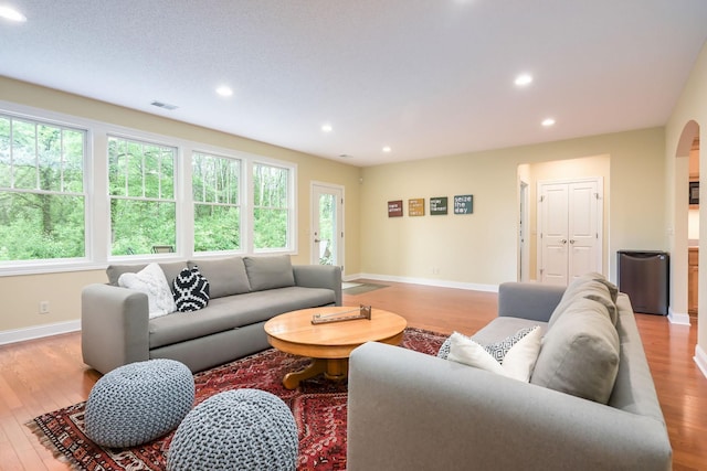 3543 Eben Way, Stillwater, MN 55082 - living room with wood finished floors, plenty of natural light, arched walkways, baseboards, and recessed lighting