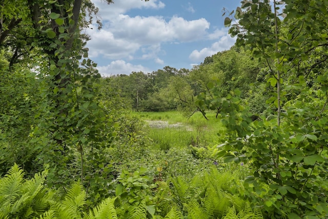 3543 Eben Way, Stillwater, MN 55082 - view of woods