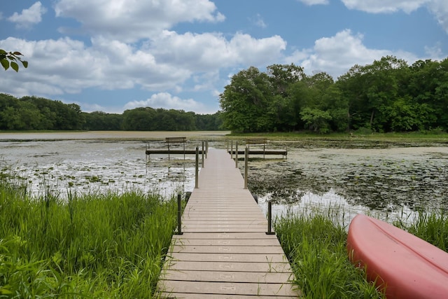 3543 Eben Way, Stillwater, MN 55082 - dock area featuring a forest view and a water view