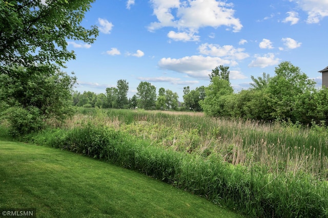 5261 Fenson Ct N, Hugo, MN 55038 - view of green lawn