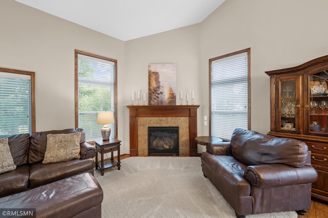 5261 Fenson Ct N, Hugo, MN 55038 - living area with vaulted ceiling and a fireplace
