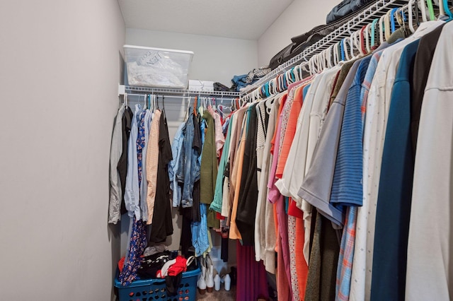 17552 57th St NE, Otsego, MN 55374 - view of spacious closet