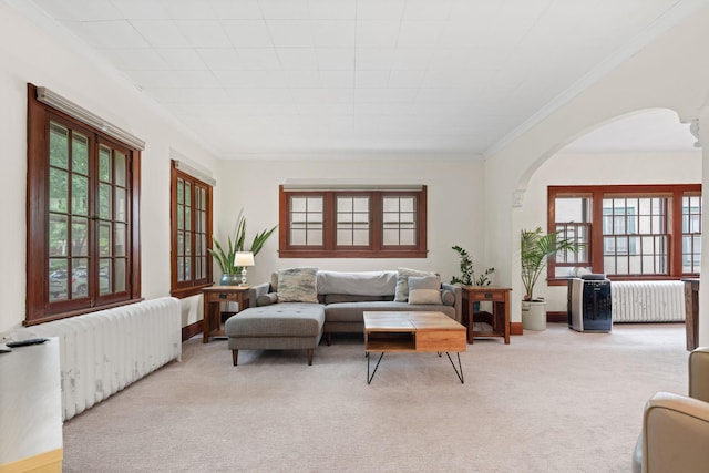 952 Goodrich Ave, Saint Paul, MN 55105 - living room featuring arched walkways, carpet floors, radiator, healthy amount of natural light, and crown molding
