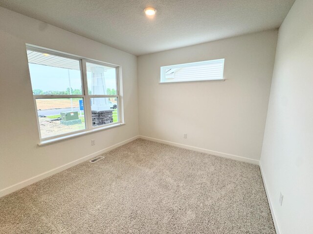 7031 Lannon Ave NE, Otsego, MN 55301 - carpeted empty room with baseboards and a textured ceiling