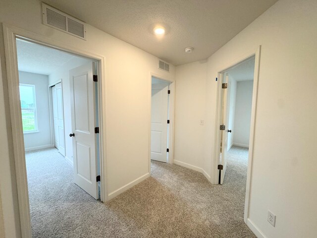 7031 Lannon Ave NE, Otsego, MN 55301 - corridor with carpet floors and a textured ceiling