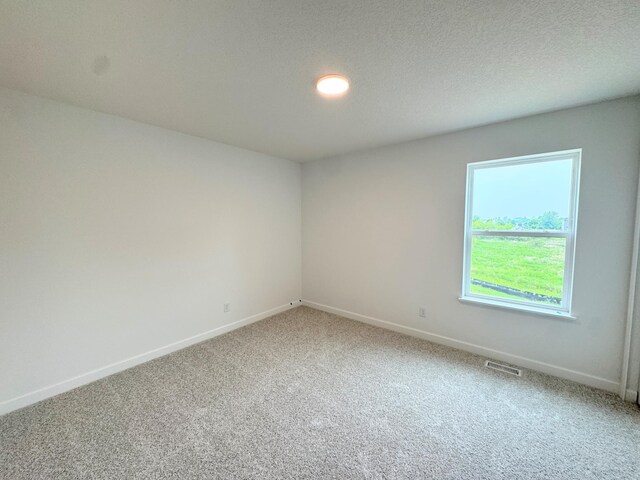 7031 Lannon Ave NE, Otsego, MN 55301 - carpeted empty room with baseboards and a textured ceiling