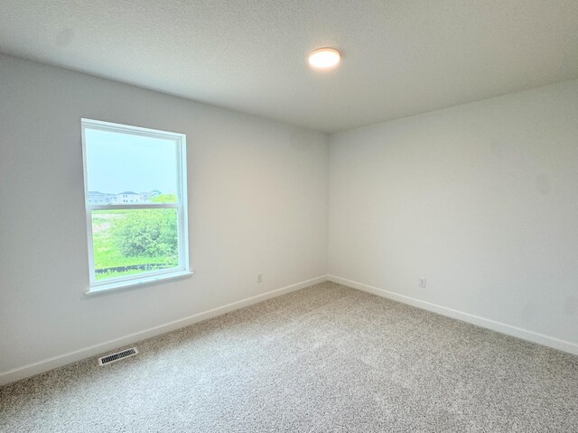 7031 Lannon Ave NE, Otsego, MN 55301 - unfurnished room with carpet flooring and baseboards