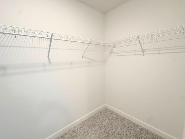 7031 Lannon Ave NE, Otsego, MN 55301 - spacious closet featuring carpet floors