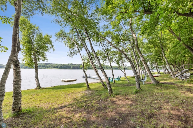 29315 Buffalo Run, Holmesville Twp, MN 56578 - photo 34