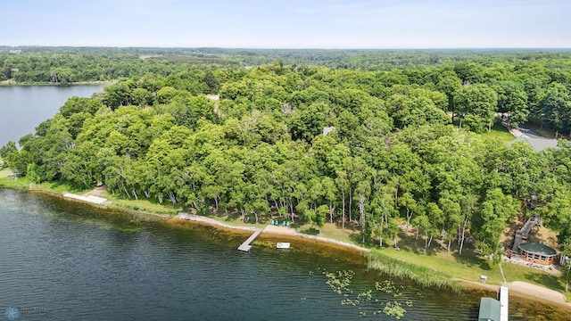 29315 Buffalo Run, Holmesville Twp, MN 56578 - photo 40