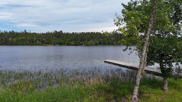 TBD.4 Bayside Dr, Crane Lake, MN 55725