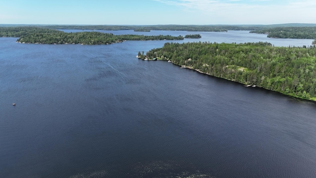 TBD.4 Bayside Dr, Crane Lake, MN 55725