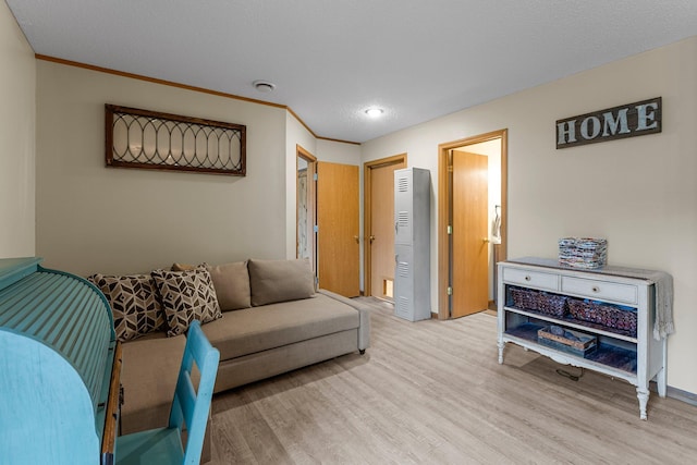 920 Lincoln Ct S, Cambridge, MN 55008 - living area featuring light wood finished floors and recessed lighting