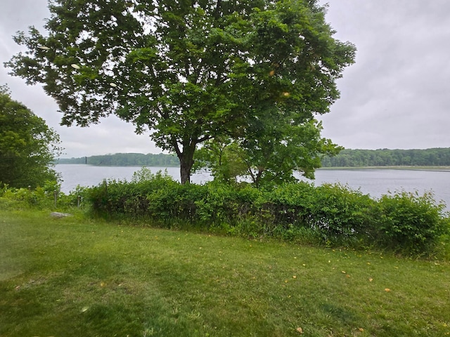35163 Rose Lake Dr, Frazee, MN 56544 - water view
