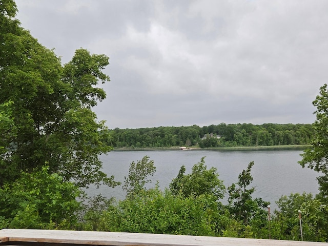 35163 Rose Lake Dr, Frazee, MN 56544 - water view with a heavily wooded area