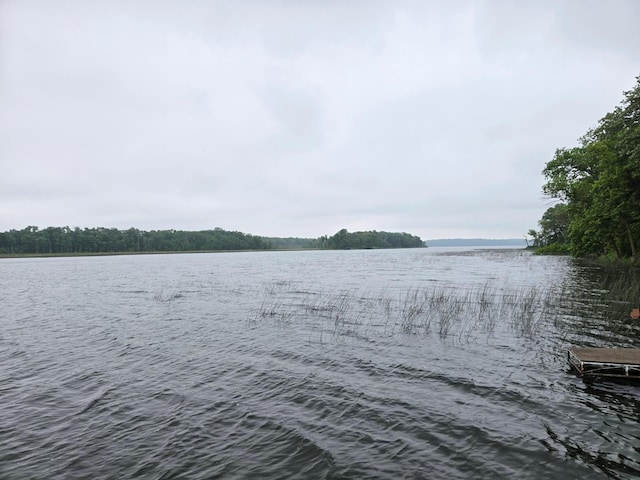 35163 Rose Lake Dr, Frazee, MN 56544 - water view