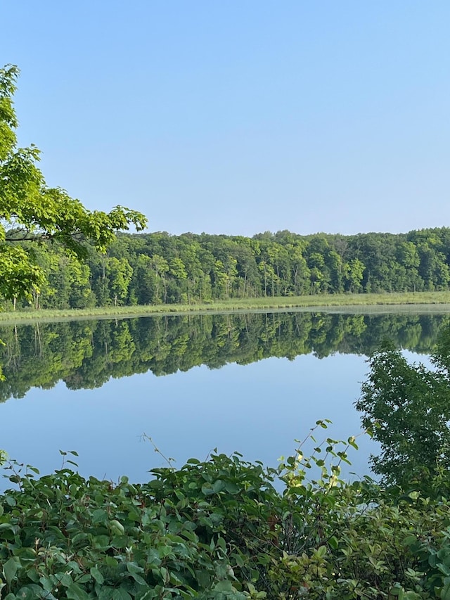 35163 Rose Lake Dr, Frazee, MN 56544 - water view with a heavily wooded area