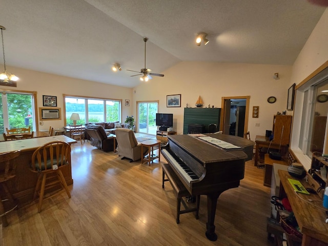 35163 Rose Lake Dr, Frazee, MN 56544 - recreation room featuring wood finished floors, vaulted ceiling, and a ceiling fan
