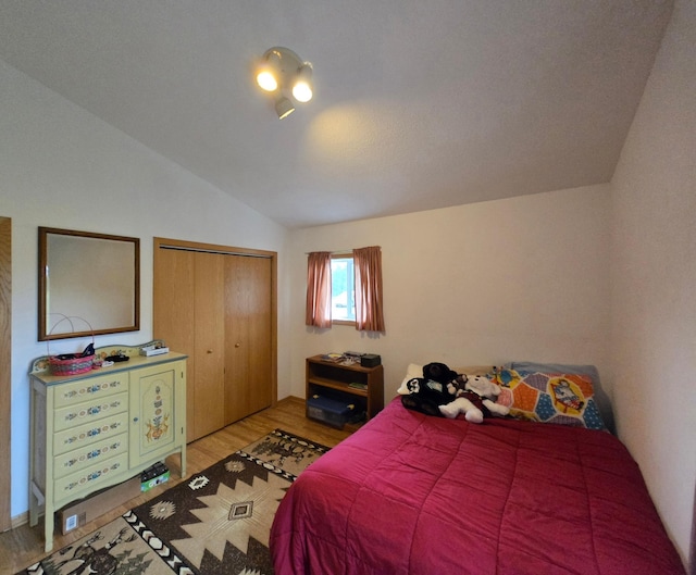 35163 Rose Lake Dr, Frazee, MN 56544 - bedroom with vaulted ceiling, wood finished floors, and a closet