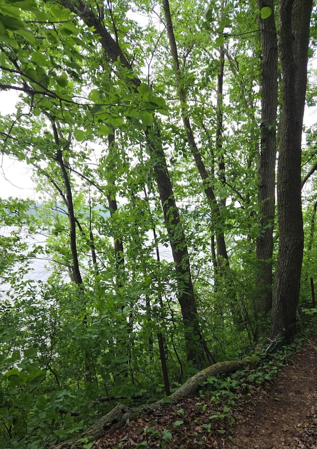 35163 Rose Lake Dr, Frazee, MN 56544 - view of local wilderness