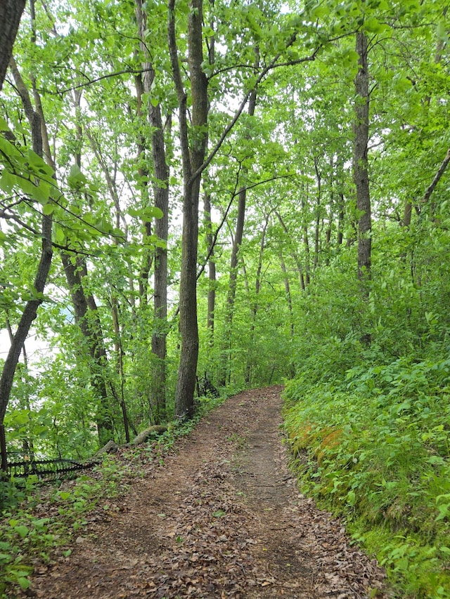 35163 Rose Lake Dr, Frazee, MN 56544 - view of wooded area