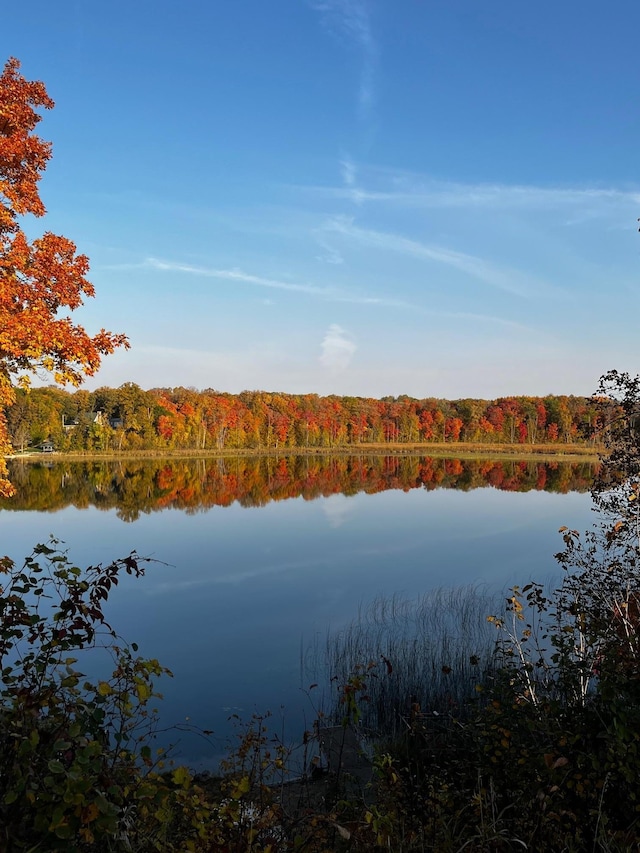 35163 Rose Lake Dr, Frazee, MN 56544 - water view with a heavily wooded area