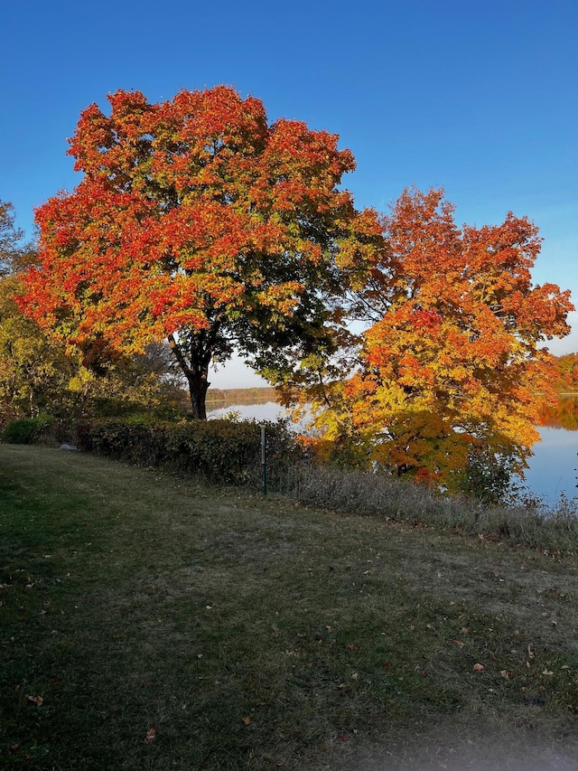 35163 Rose Lake Dr, Frazee, MN 56544 - view of grassy yard