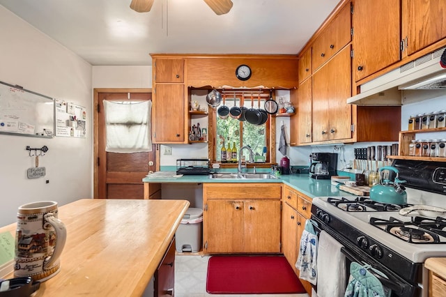 2226 S Ave E, North Saint Paul, MN 55109 - kitchen featuring white gas range, open shelves, under cabinet range hood, a ceiling fan, and brown cabinets