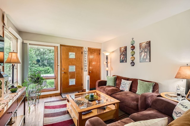 2226 S Ave E, North Saint Paul, MN 55109 - living room featuring wood finished floors