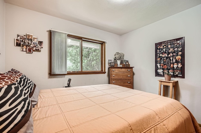2226 S Ave E, North Saint Paul, MN 55109 - view of bedroom