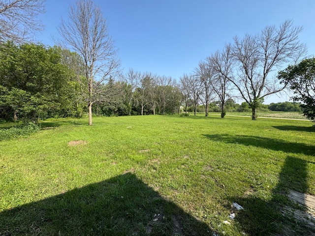 16005 Sherwood Trl, Minneola Twp, MN 55992 - view of green lawn