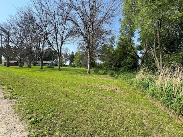 16005 Sherwood Trl, Minneola Twp, MN 55992 - view of grassy yard