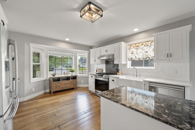 12864 Fondant Trl N, Hugo, MN 55038 - kitchen with stainless steel appliances, under cabinet range hood, tasteful backsplash, light wood-style flooring, and white cabinets