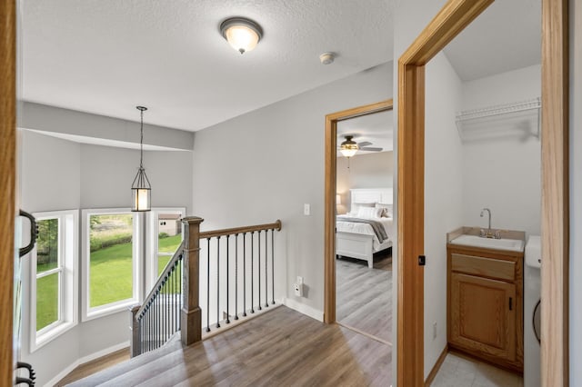 12864 Fondant Trl N, Hugo, MN 55038 - hallway with an upstairs landing, light wood-style floors, and a textured ceiling