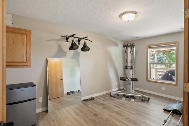 12864 Fondant Trl N, Hugo, MN 55038 - exercise room featuring light wood-style floors and a textured ceiling