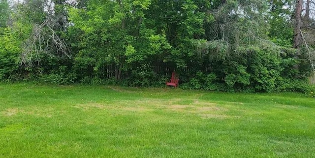 3989 County Road 79, Littlefork, MN 56653 - photo 35