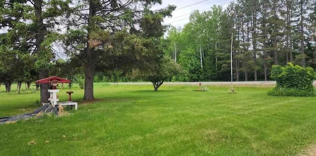 3989 County Road 79, Littlefork, MN 56653 - photo 37