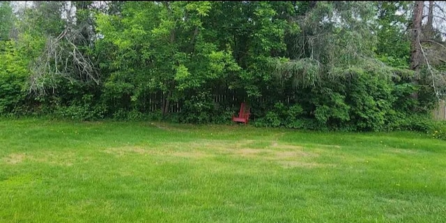 3989 County Road 79, Littlefork, MN 56653 - photo 38