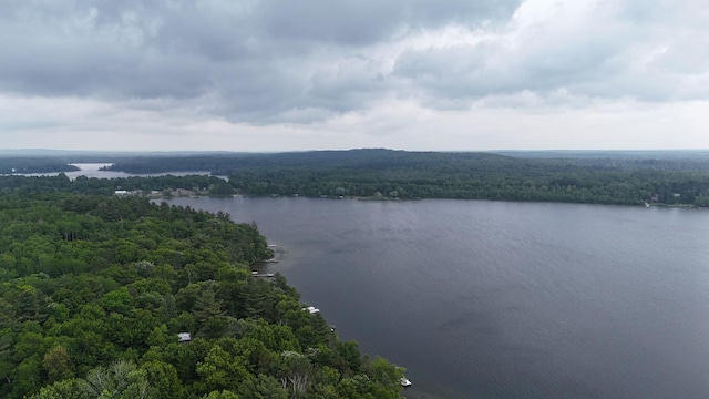 6189 Woods Bay Dr NE, Outing, MN 56662 - photo 31