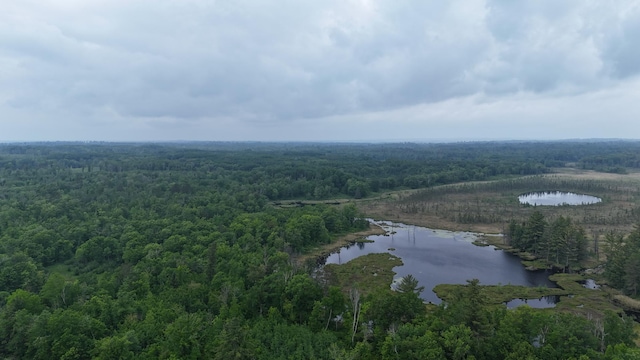 6189 Woods Bay Dr NE, Outing, MN 56662 - photo 47