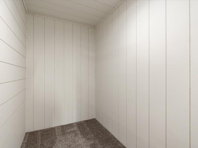 29126 County Road 3, Merrifield, MN 56465 - empty room featuring carpet flooring and wooden walls