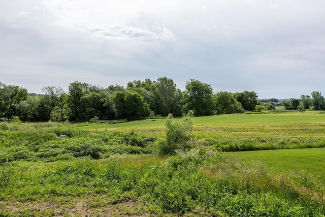 509 Golfview Ave, Zumbrota, MN 55992 - view of undeveloped land featuring rural landscape