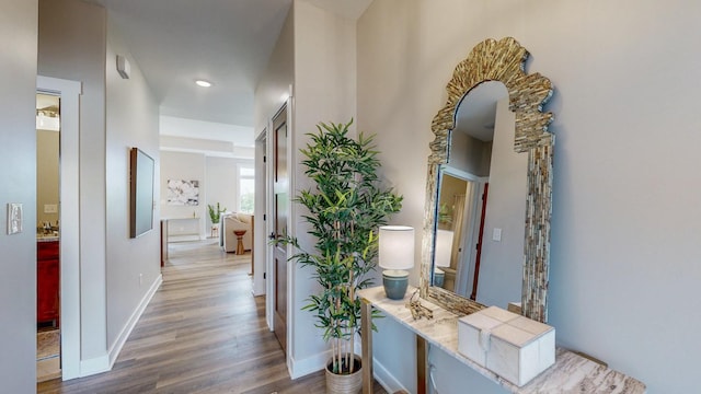 509 Golfview Ave, Zumbrota, MN 55992 - hallway with wood finished floors and recessed lighting